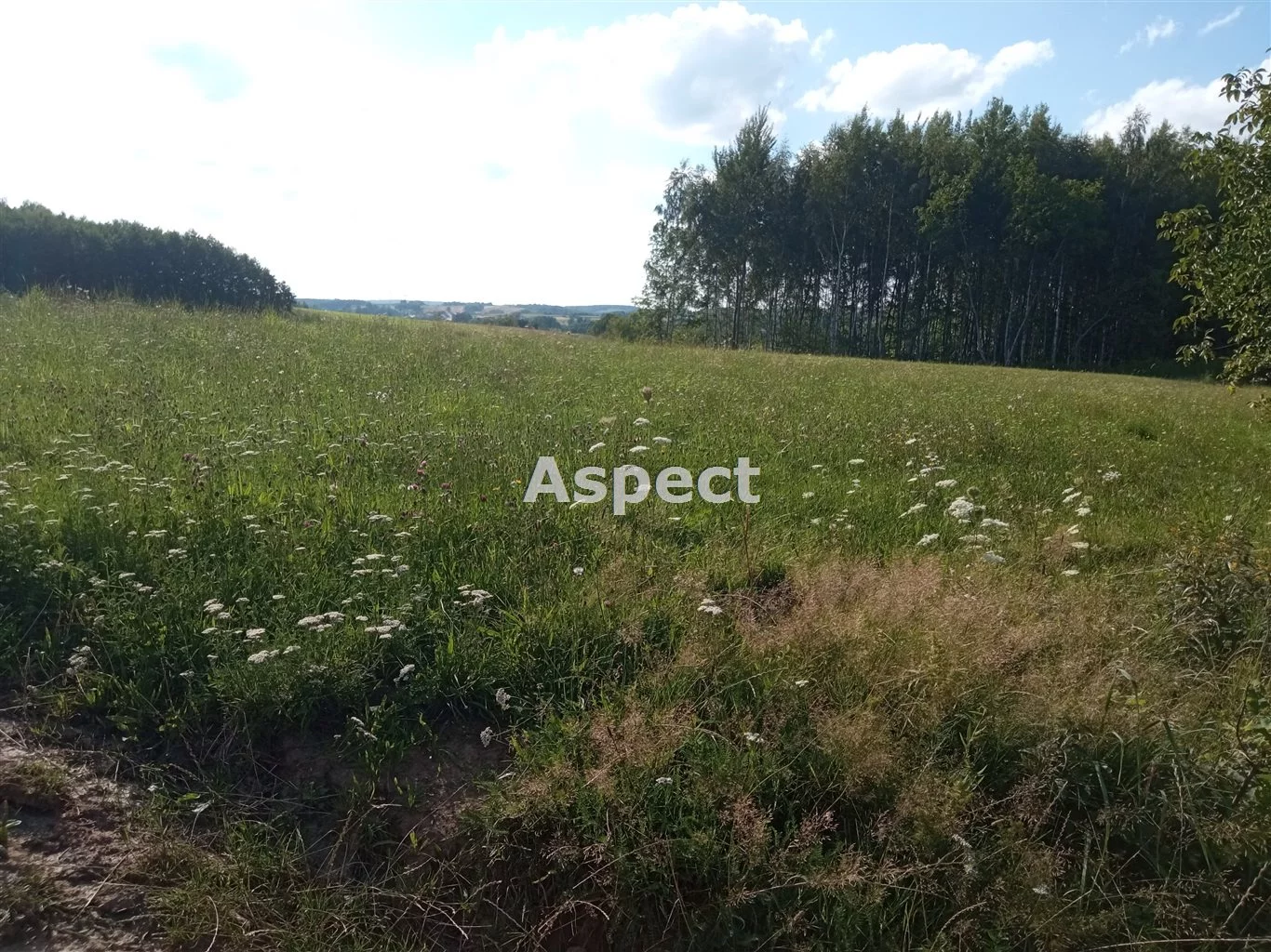 Działka 1 335,00 m², oferta nr , ASR-GS-51312, Rzeszów