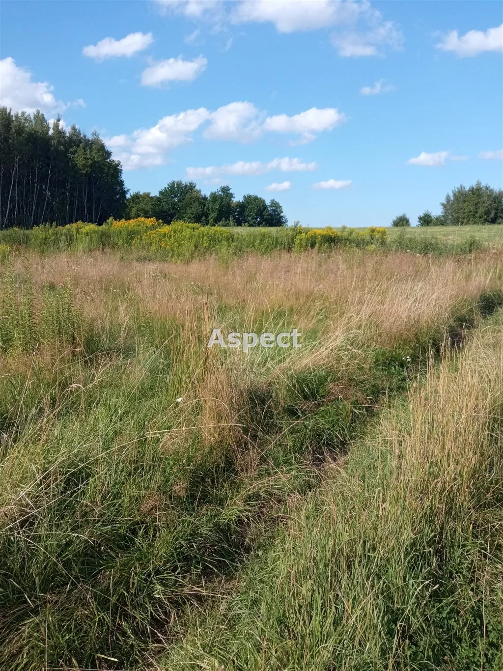 Działka 1 043,00 m², oferta nr , ASR-GS-51314, Rzeszów