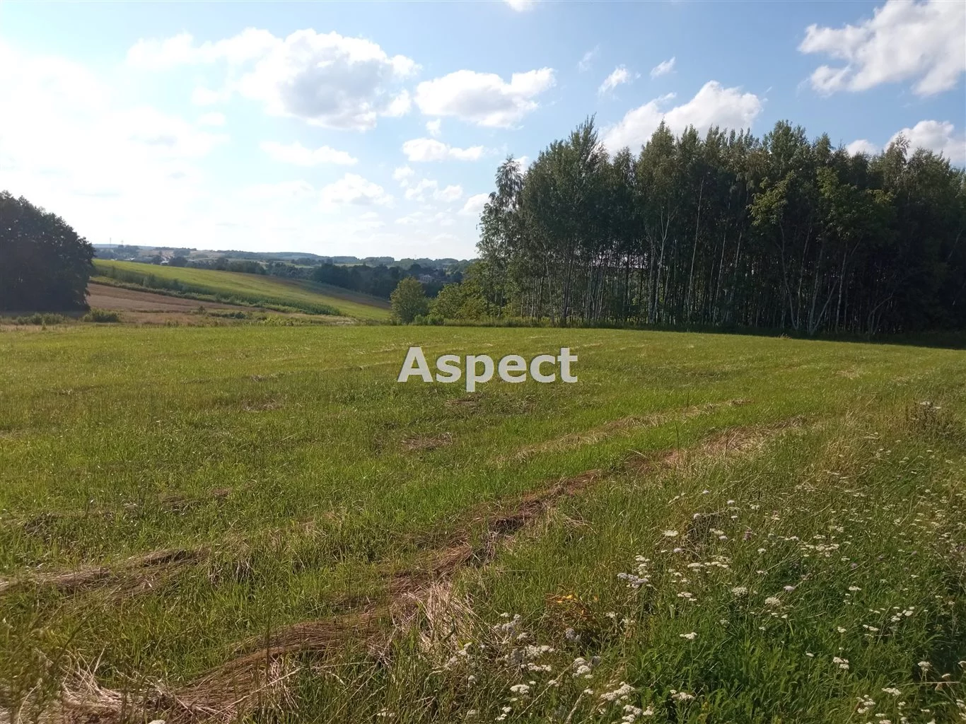 Działka 1 151,00 m², oferta nr , ASR-GS-51313, Rzeszów