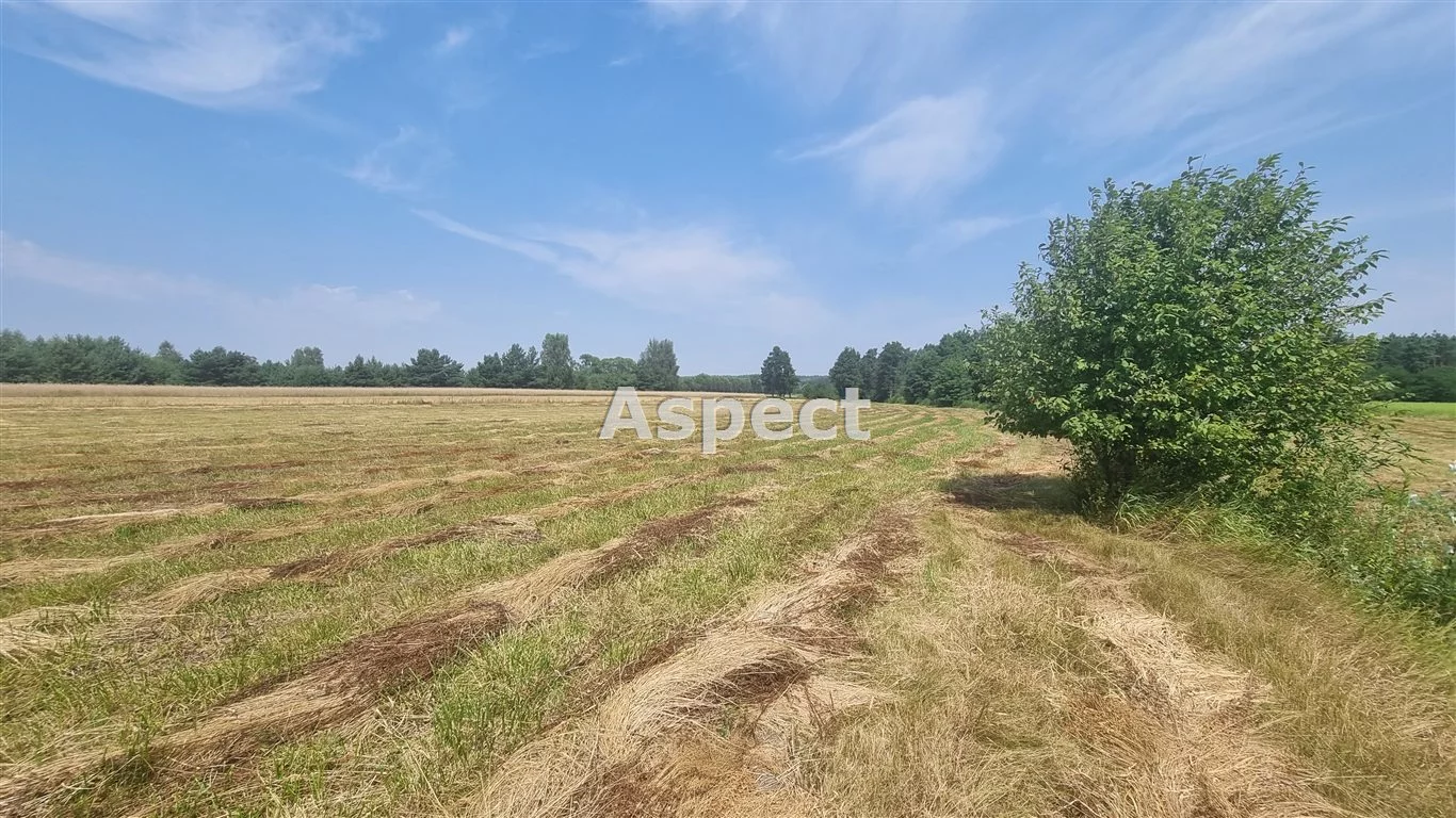 APO-GS-50839 - zdjęcie nr 1