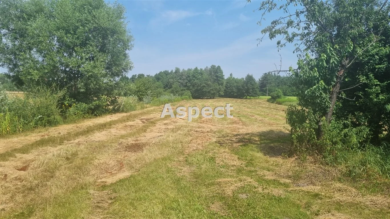 APO-GS-50839 - zdjęcie nr 2