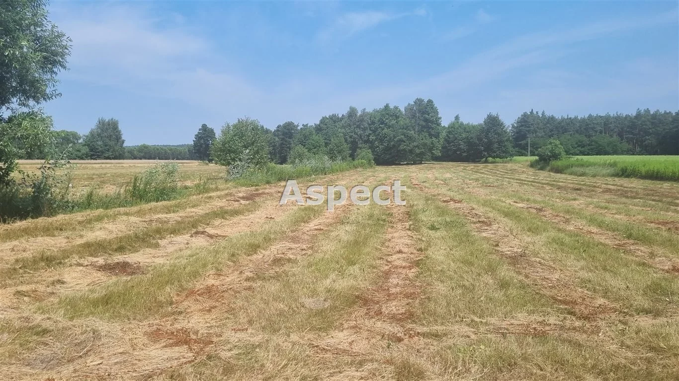 APO-GS-50839 - zdjęcie nr 4