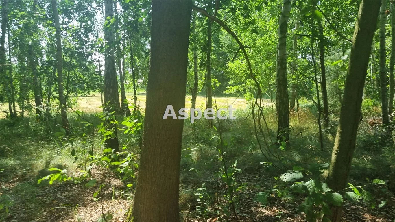 Działka 13 000,00 m², oferta nr , APO-GS-50839, Słupno