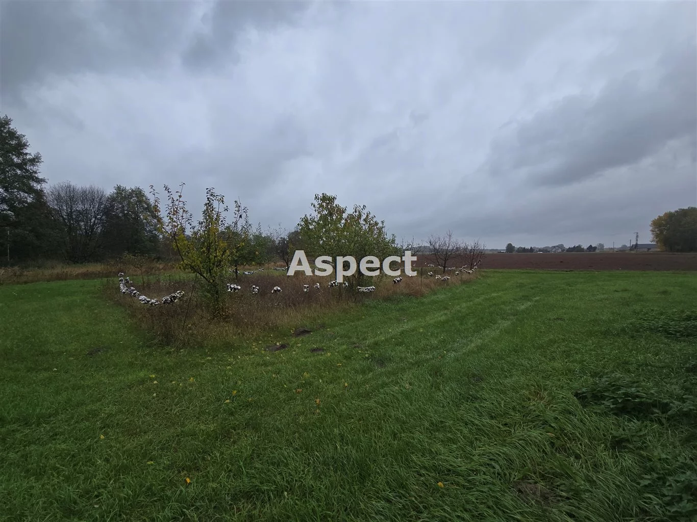 Działka 1 200,00 m², oferta nr , APO-GS-51310, Słupno