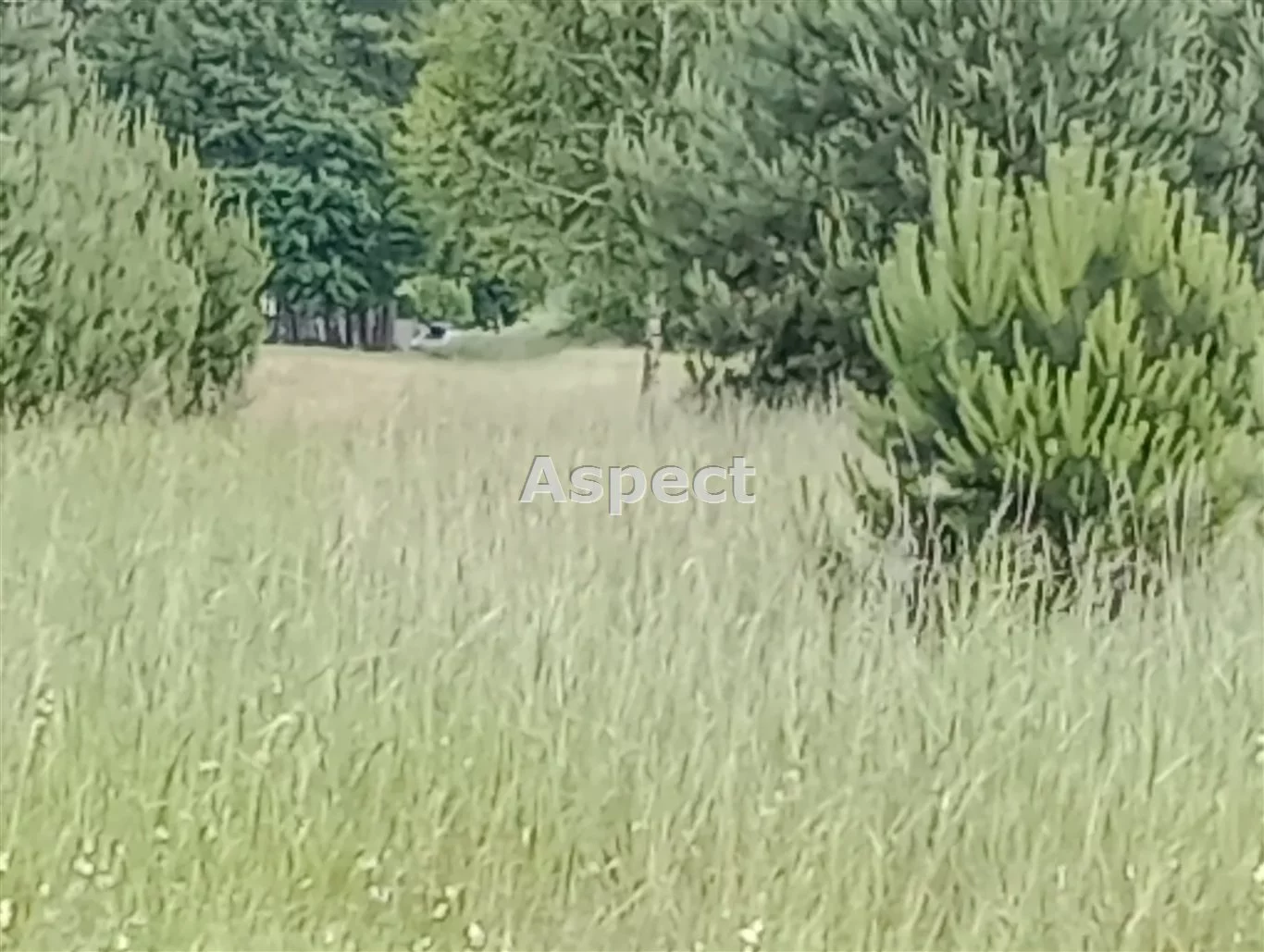 Działka 1 000,00 m², oferta nr , ASR-GS-50764, Sokołów Małopolski