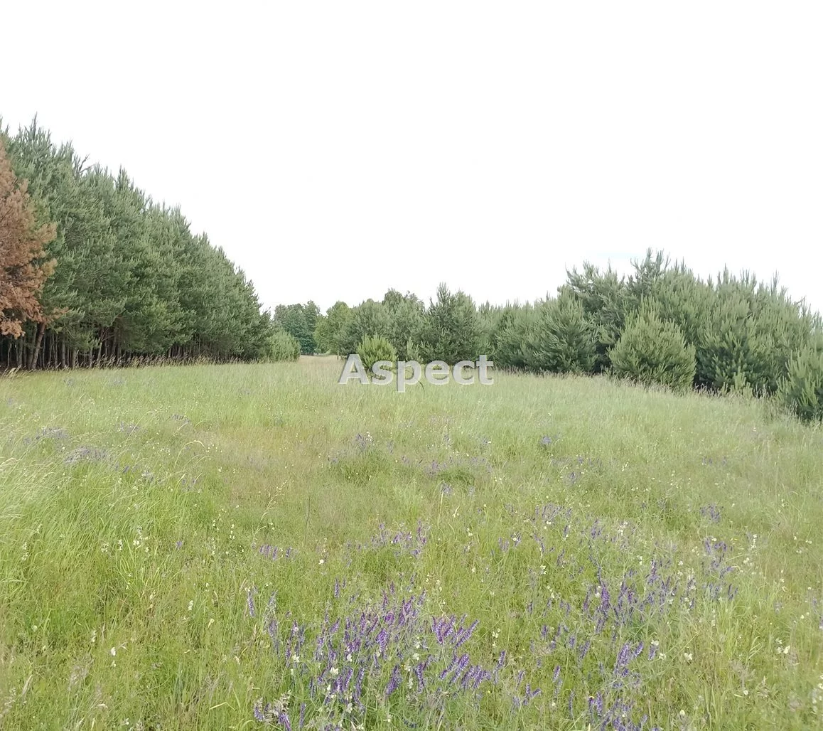 Działka 1 000,00 m², oferta nr , ASR-GS-50764, Sokołów Małopolski
