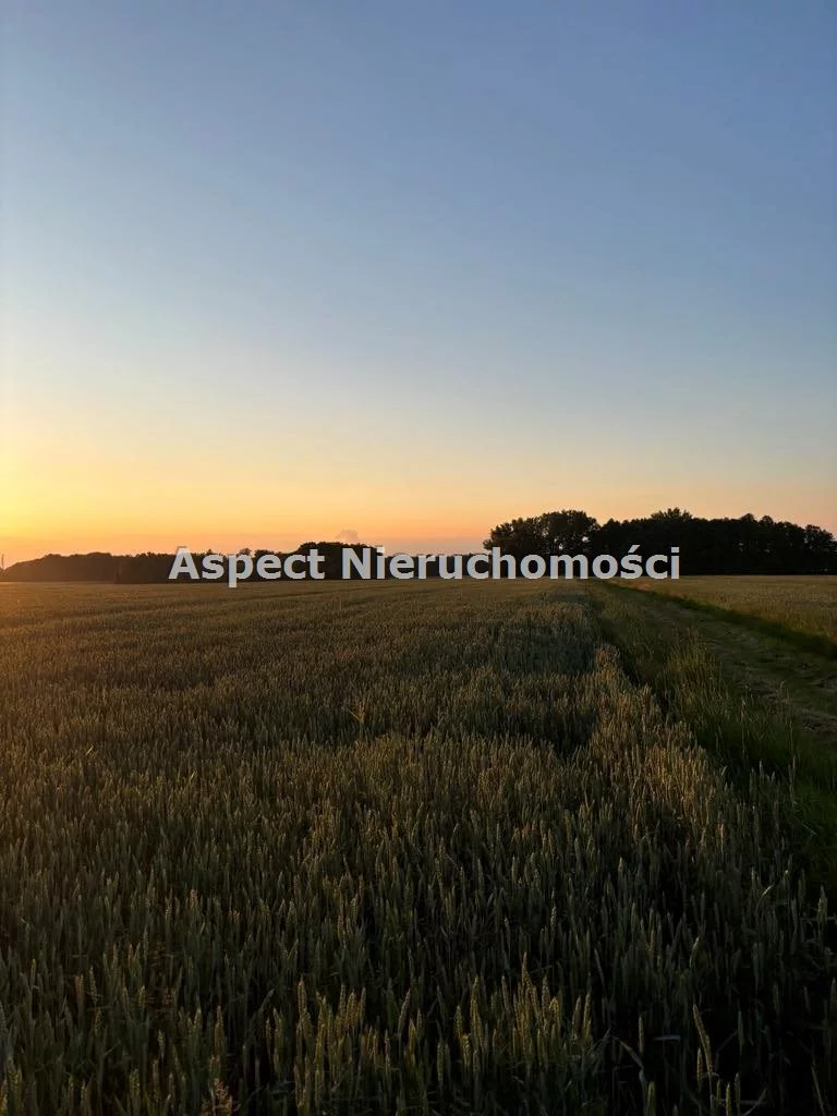 Działka 11 560,00 m², oferta nr , ASJ-GS-48827, Strumień