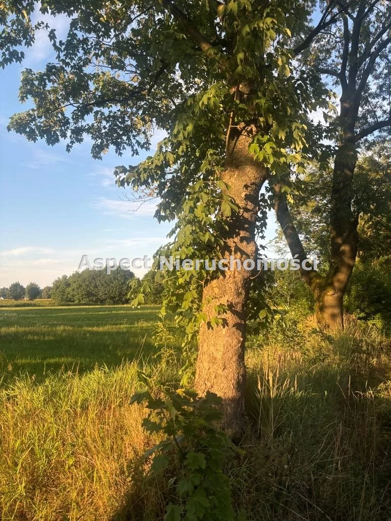 Działka 20 683,00 m², oferta nr , ASJ-GS-49087, Strumień