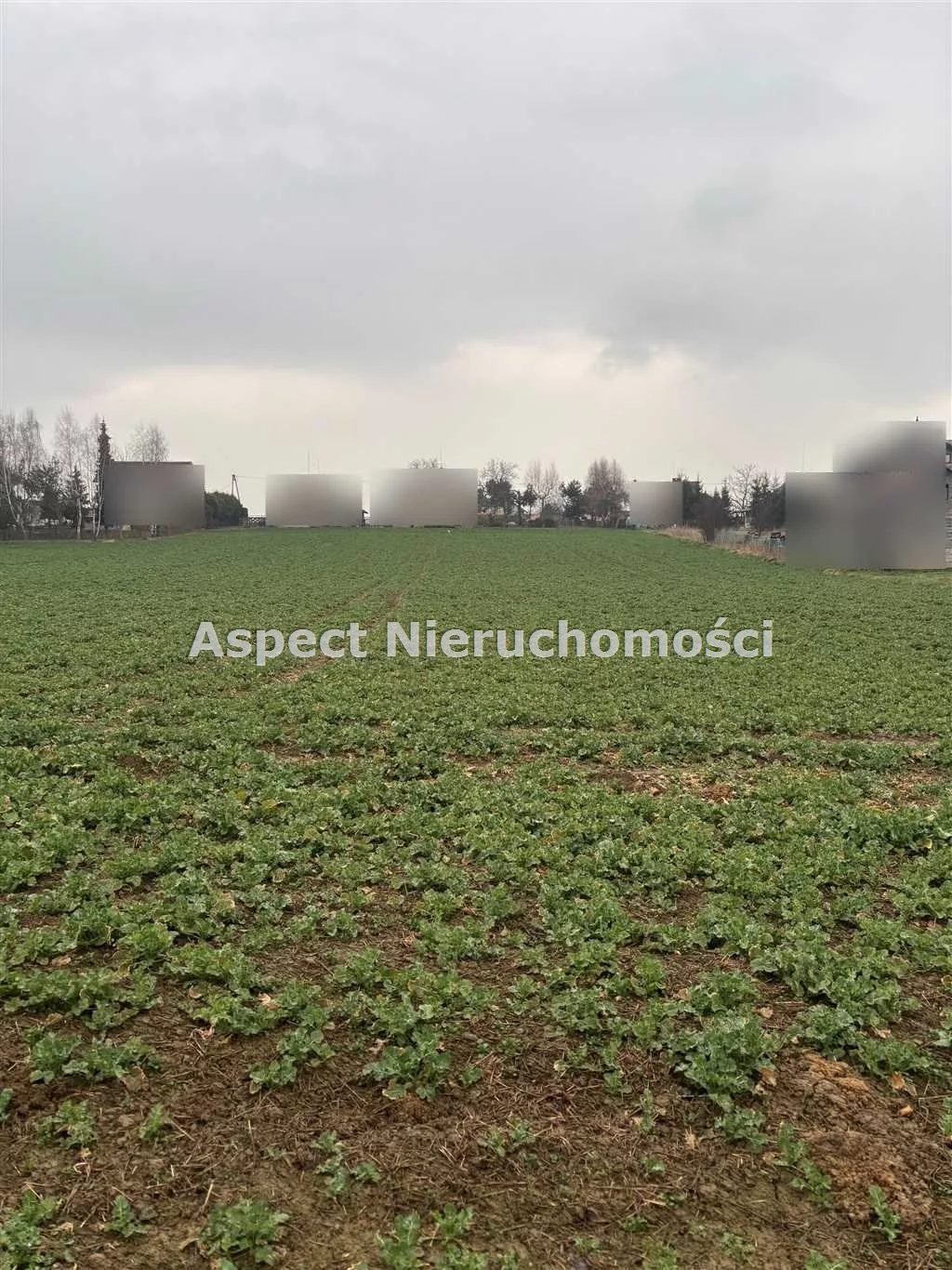 ASJ-GS-50359 - zdjęcie nr 0