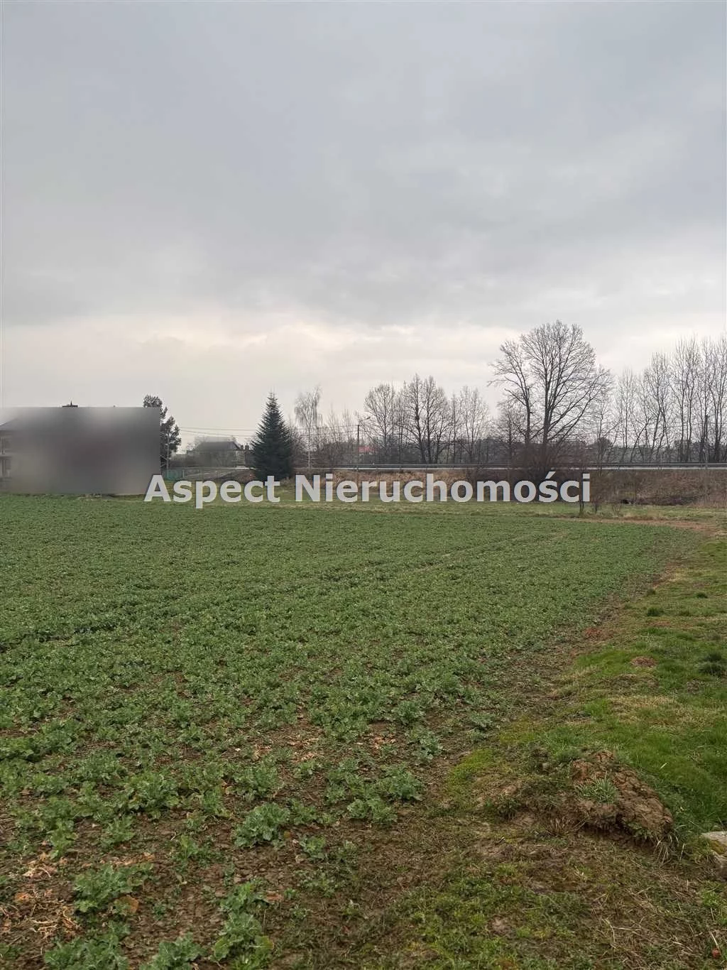 ASJ-GS-50359 - zdjęcie nr 3