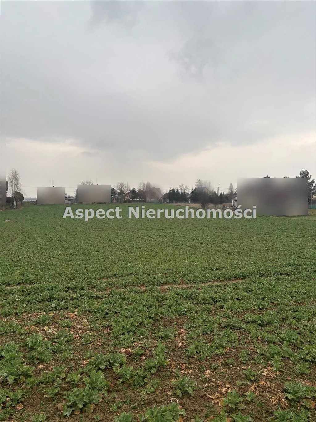 ASJ-GS-50359 - zdjęcie nr 4