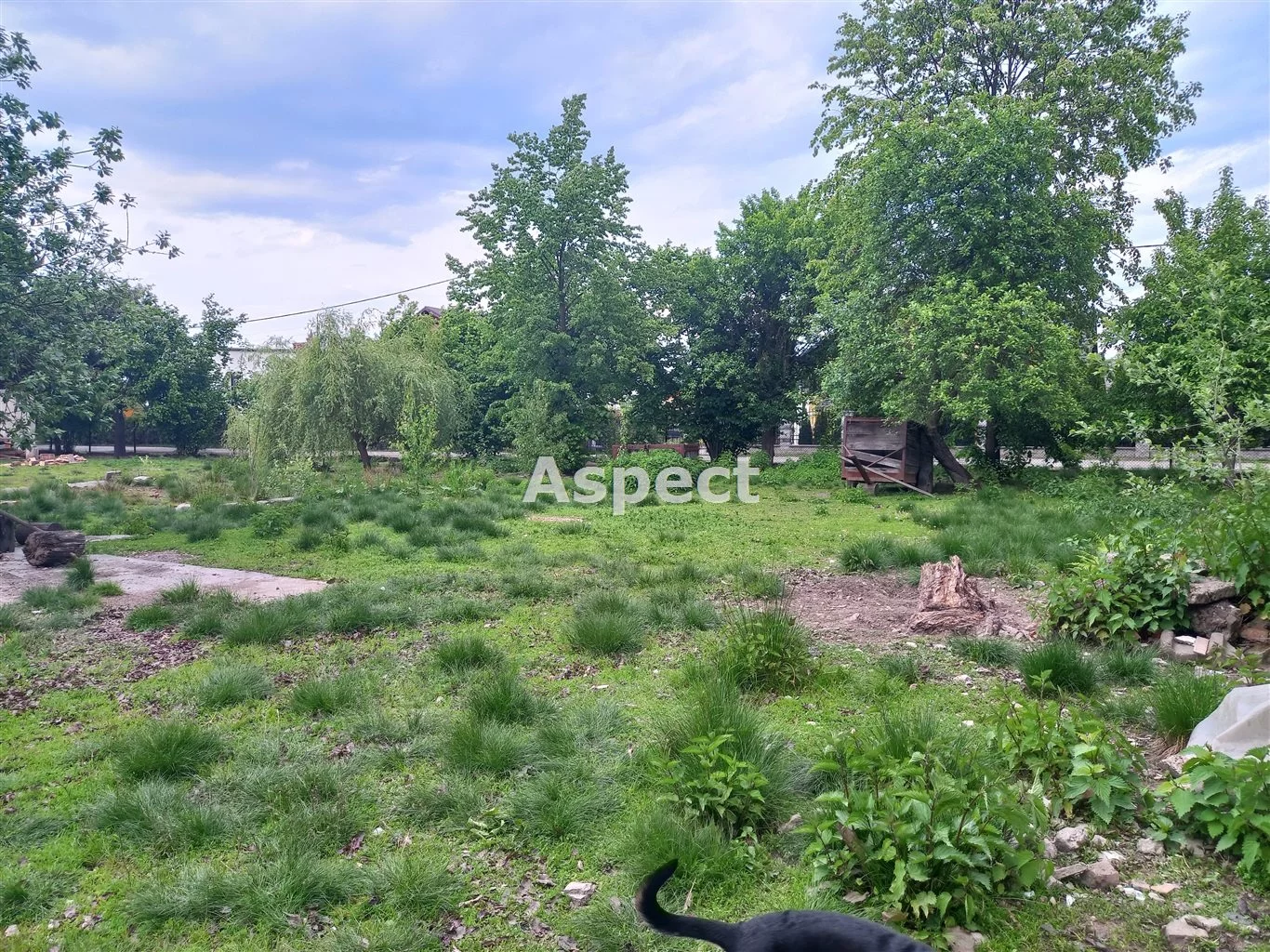 ASP-GS-50603 - zdjęcie nr 0