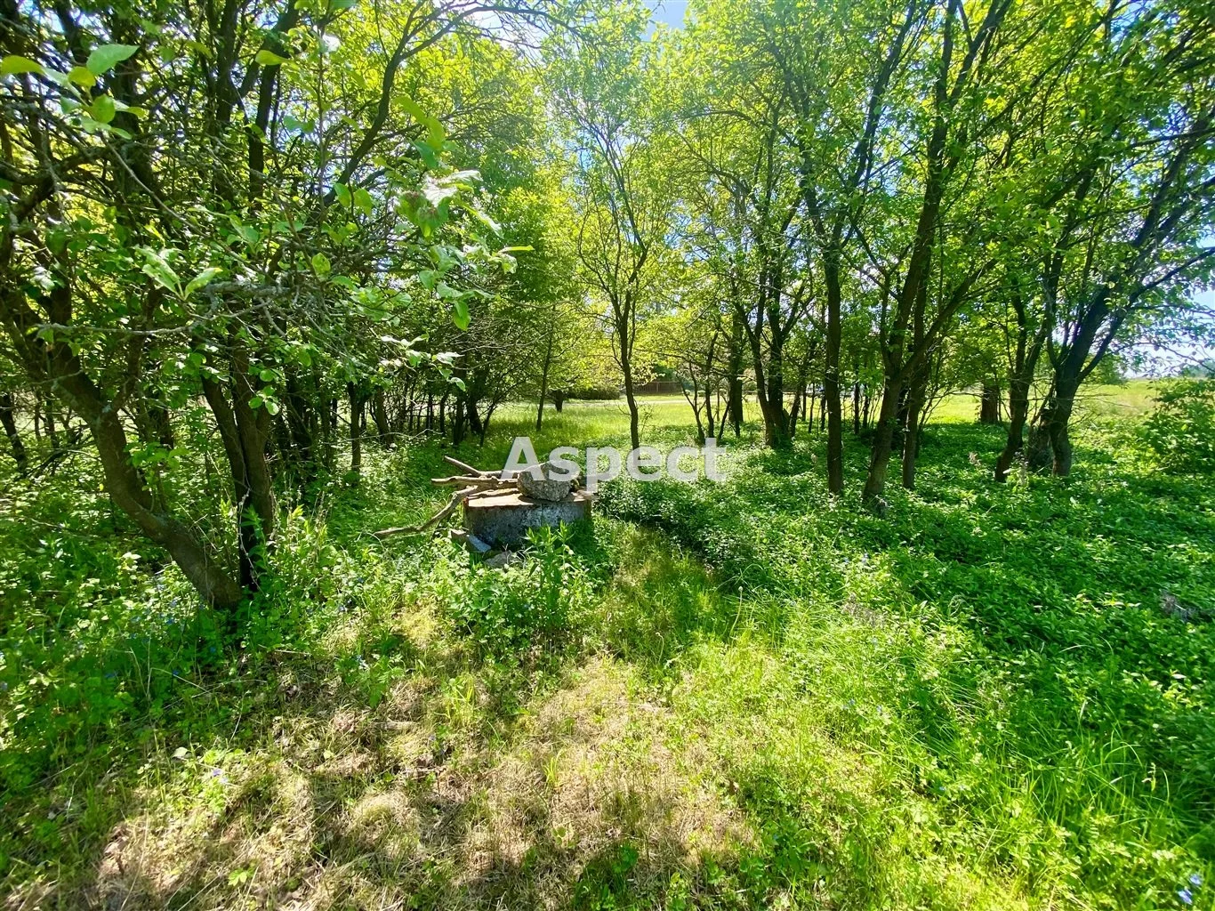 ASK-GS-50640 - zdjęcie nr 1