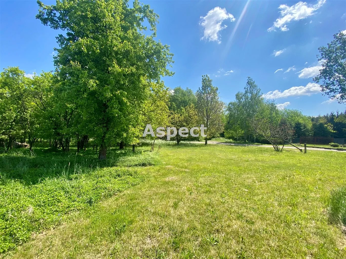 ASK-GS-50640 - zdjęcie nr 2