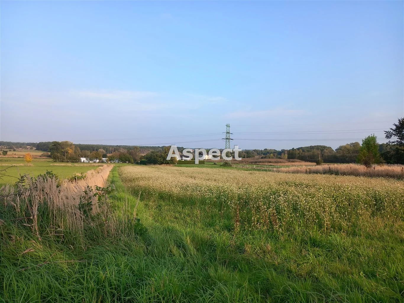 Działka 3 356,00 m², oferta nr , ASP-GS-51220, Suszec