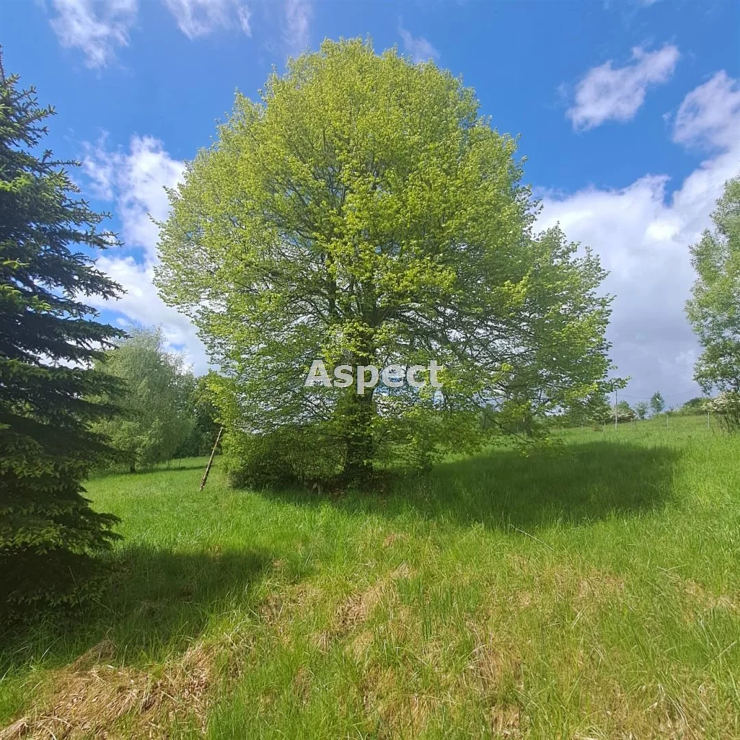 APK-GS-50943 - zdjęcie nr 1