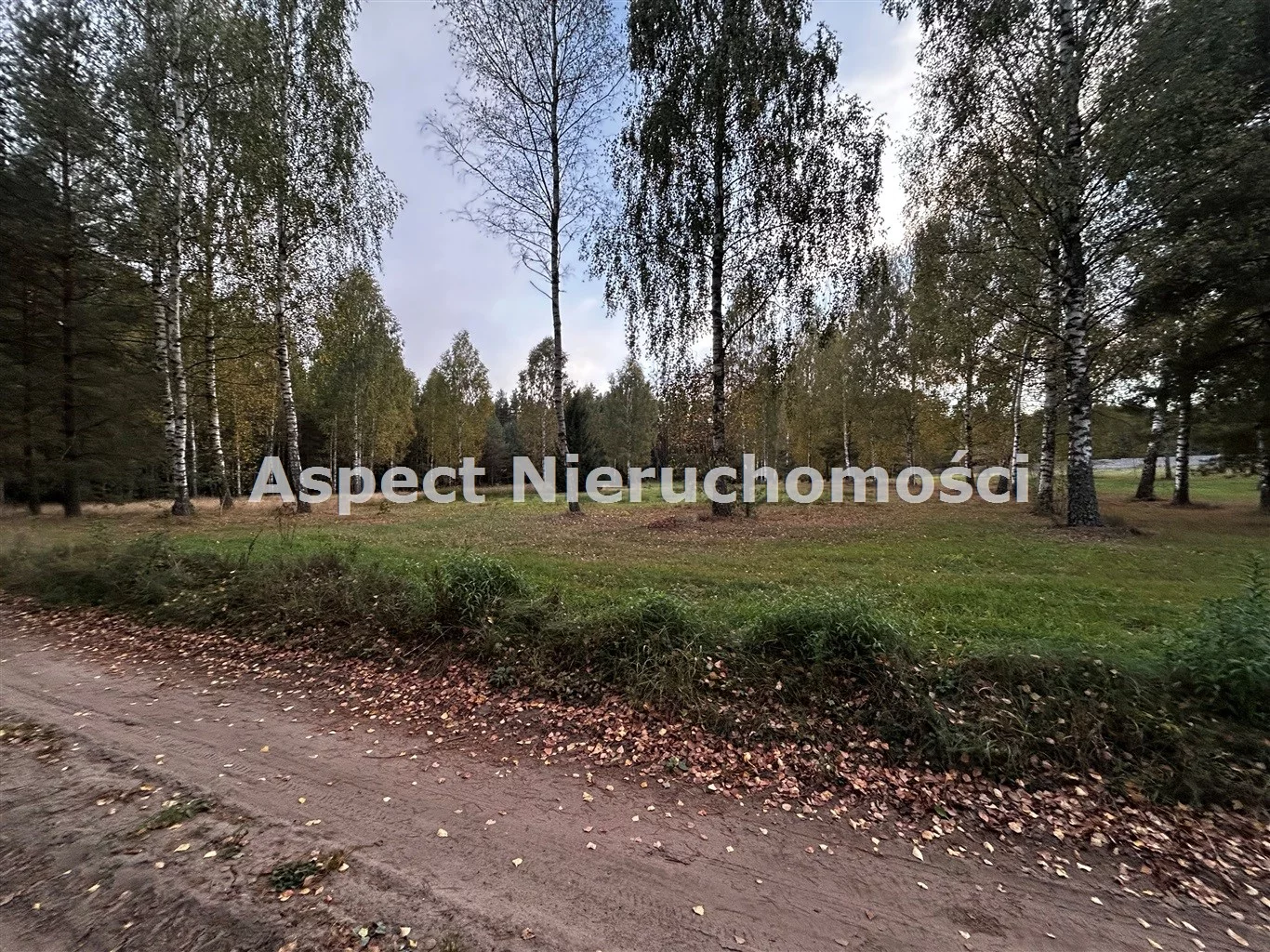 Działka 3 200,00 m², oferta nr , ASM-GS-48045, Szudziałowo