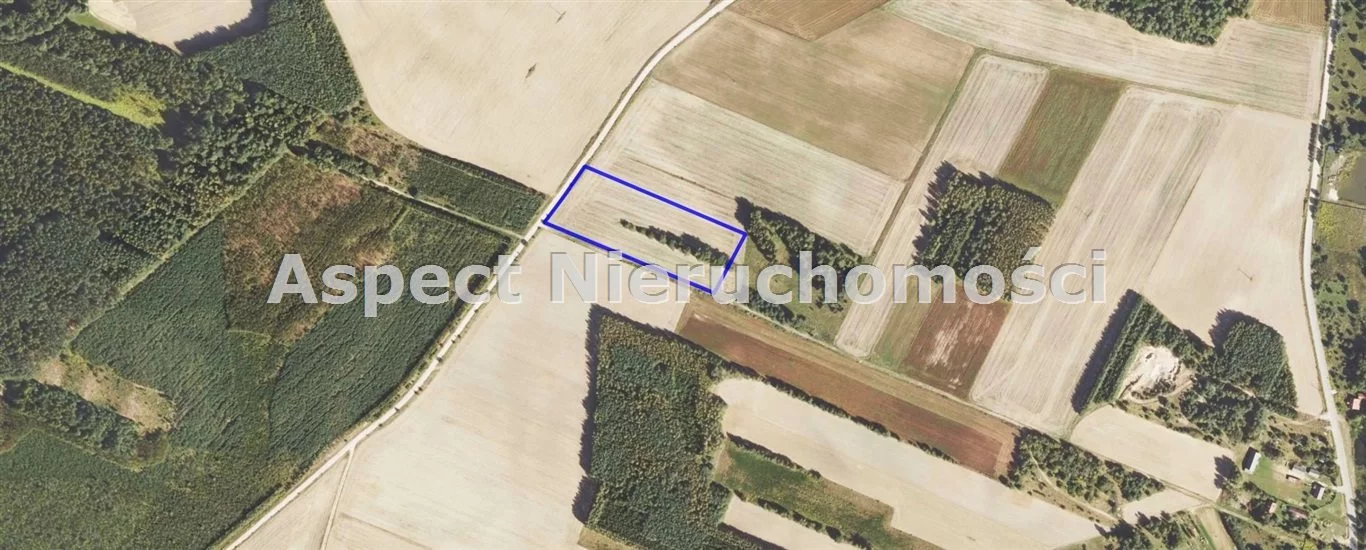 Apartamenty ASM-GS-50783 Szudziałowo