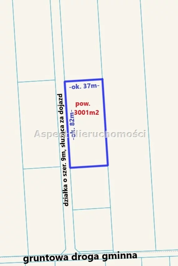 ASM-GS-50699 - zdjęcie nr 4
