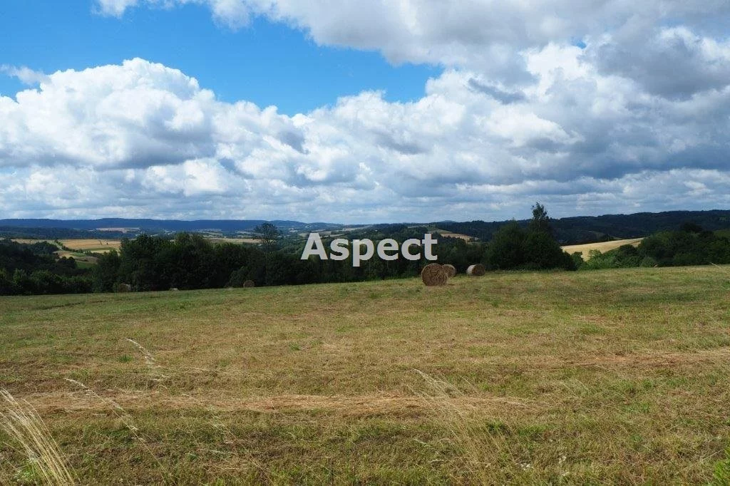Działka 15 739,00 m², oferta nr , ASR-GS-44179-15, Wielopole Skrzyńskie