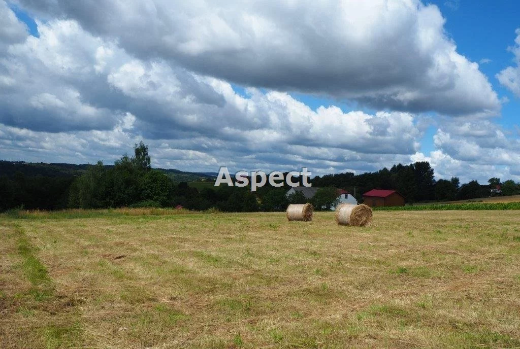 Działka 15 739,00 m², oferta nr , ASR-GS-44179-15, Wielopole Skrzyńskie