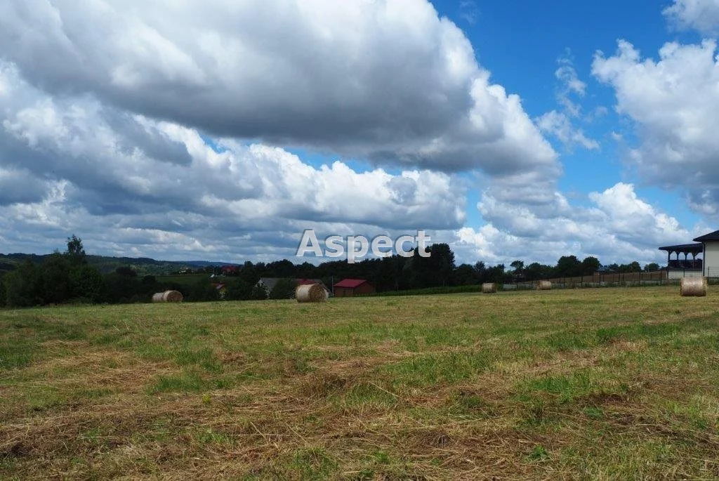 Działka 15 739,00 m², oferta nr , ASR-GS-44179-15, Wielopole Skrzyńskie