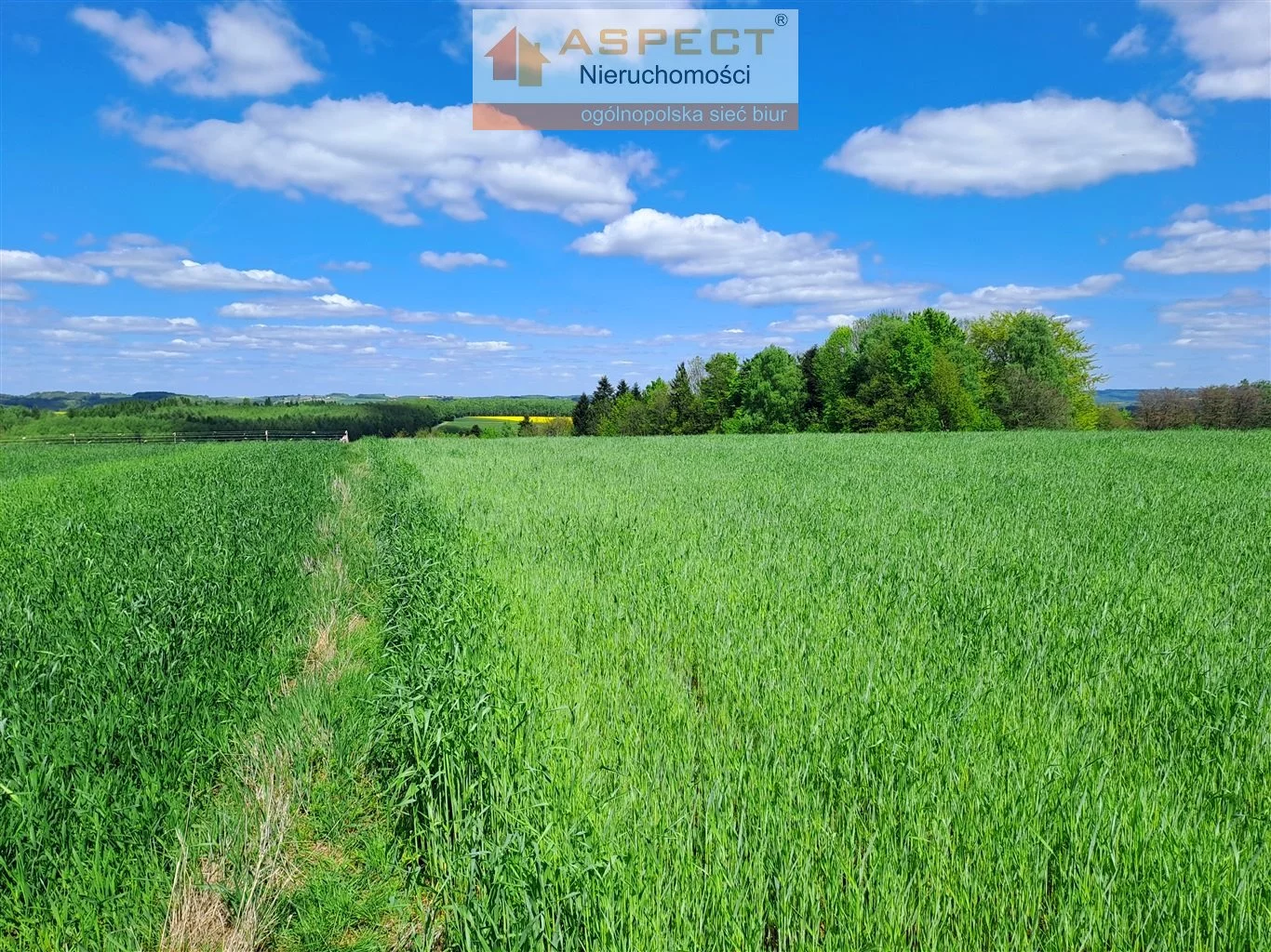 Działka 3 000,00 m², oferta nr , ASR-GS-50541, Wielopole Skrzyńskie