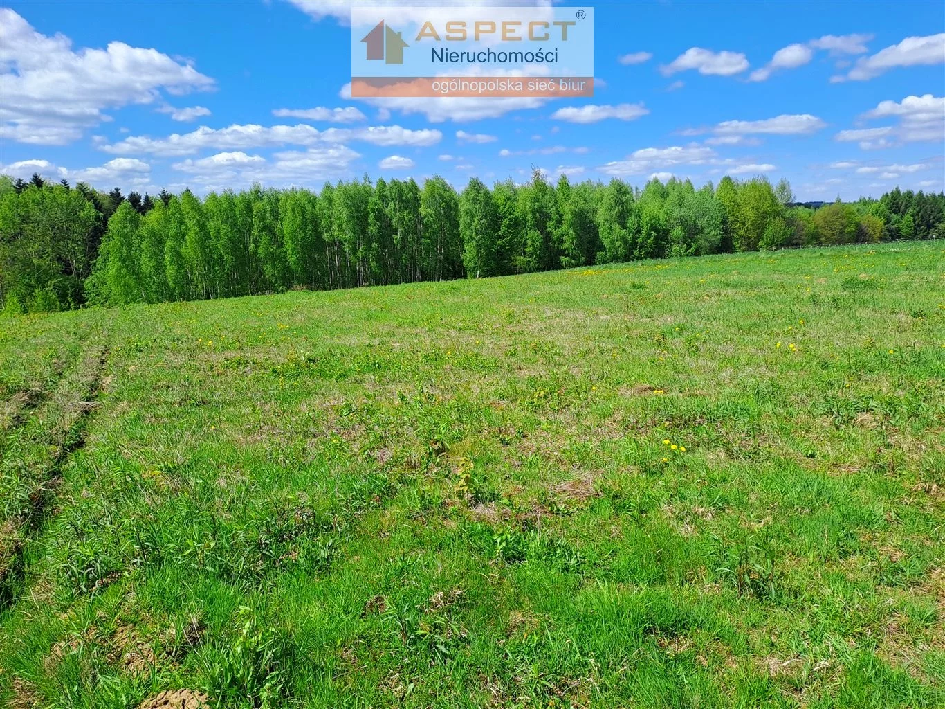 Działka 3 000,00 m², oferta nr , ASR-GS-50541, Wielopole Skrzyńskie