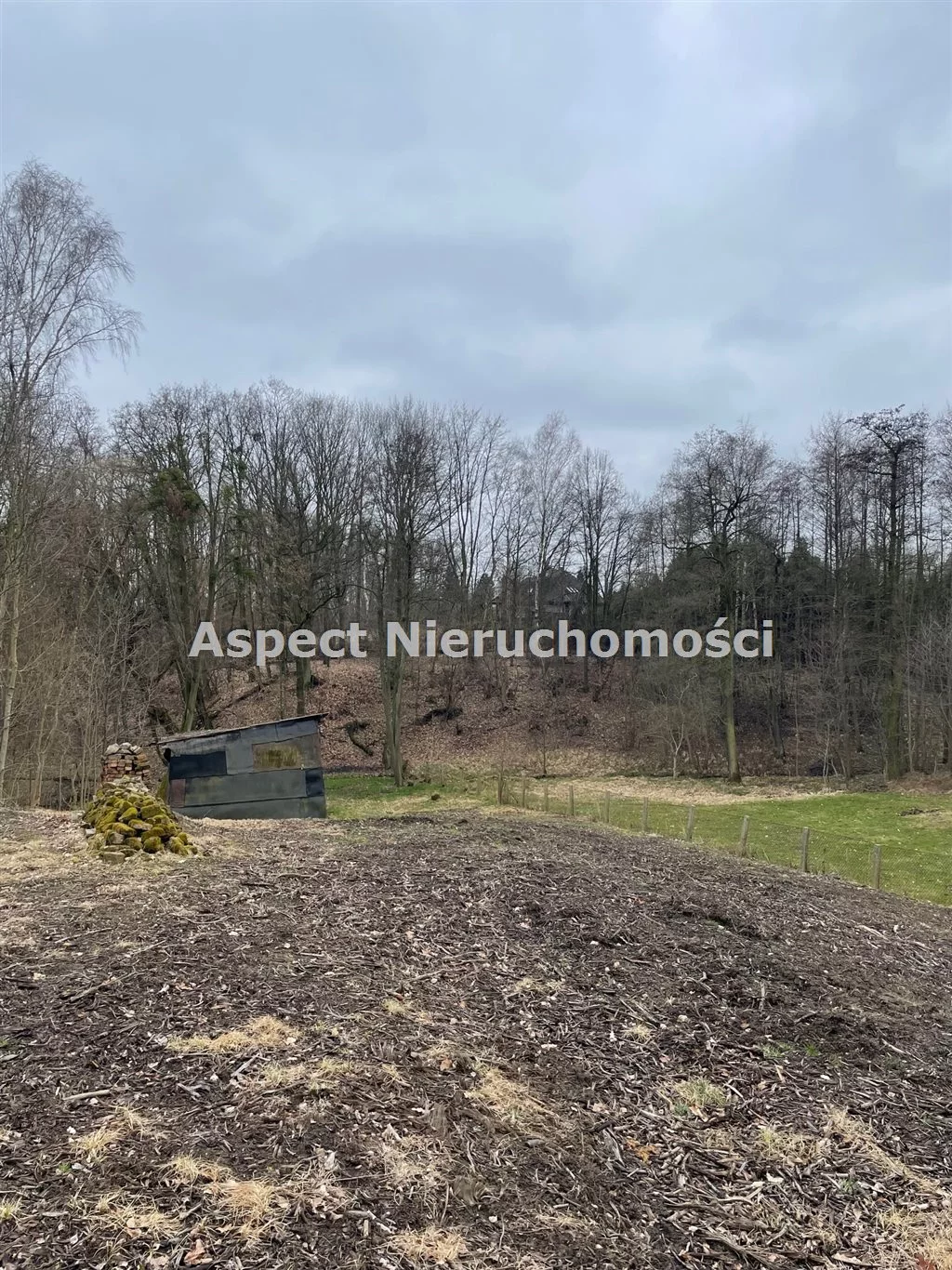 ASJ-GS-50373 - zdjęcie nr 0