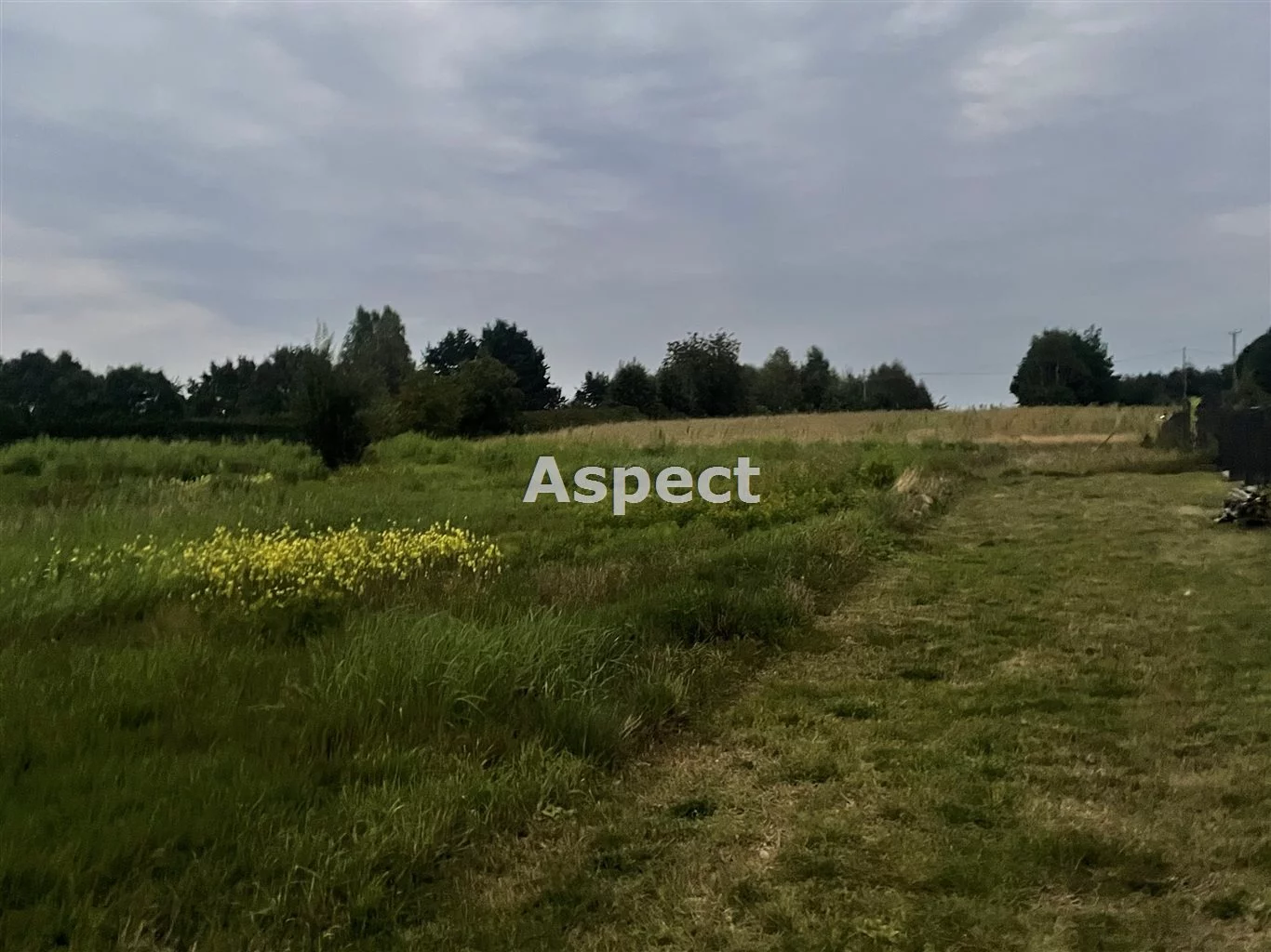 Apartamenty ASJ-GS-50664 Wodzisław Śląski