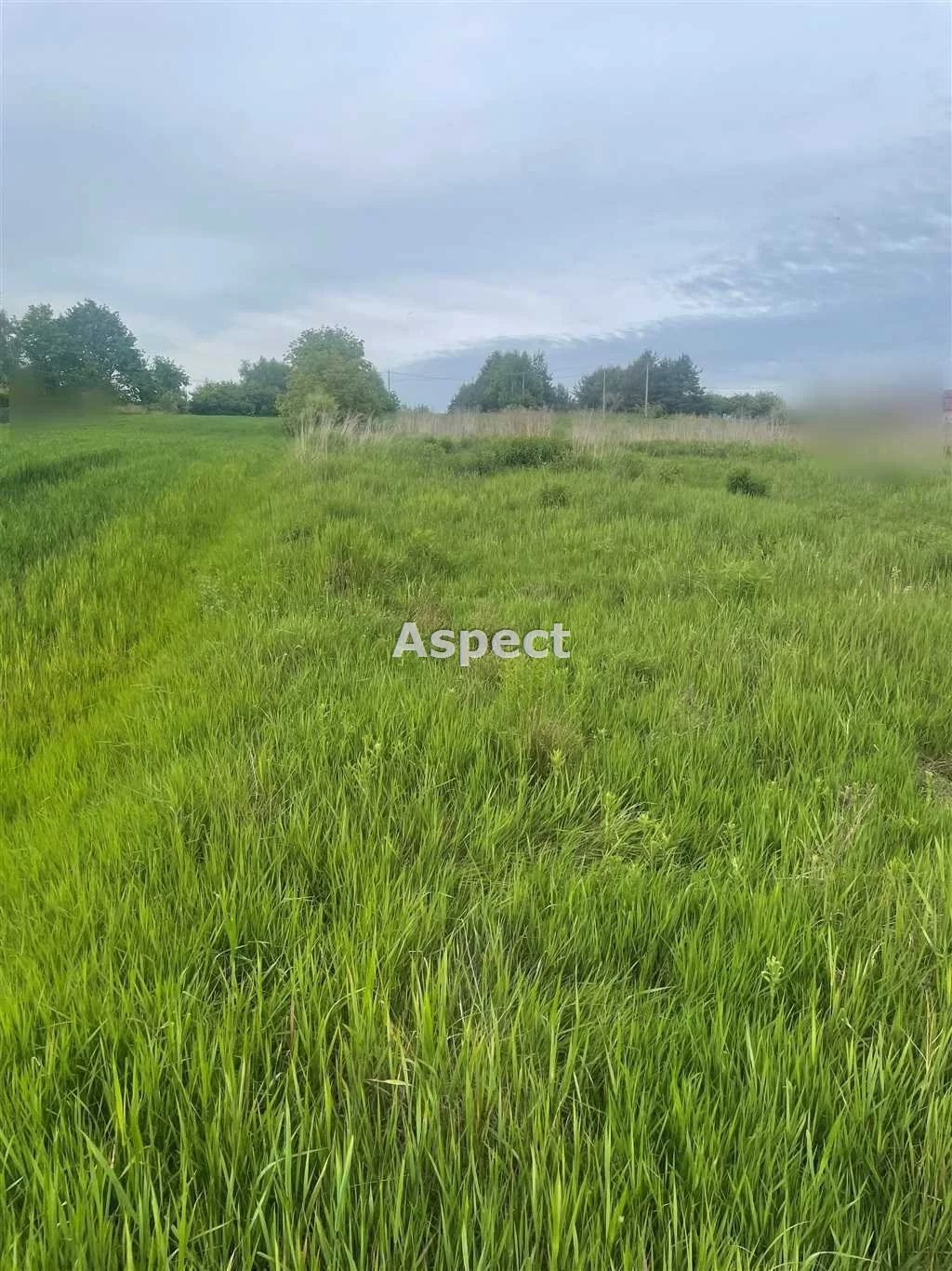 Działka 761,00 m², oferta nr , ASJ-GS-50664, Wodzisław Śląski