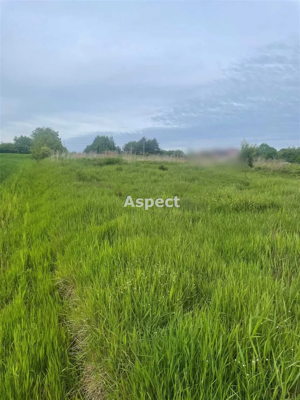 Działka 1 522,00 m², oferta nr , ASJ-GS-50665, Wodzisław Śląski