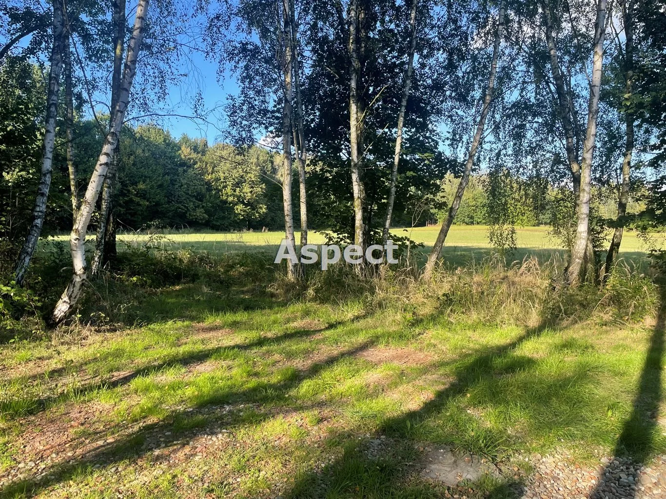 Działka 2 600,00 m², oferta nr , ASJ-GS-51206, Wodzisław Śląski