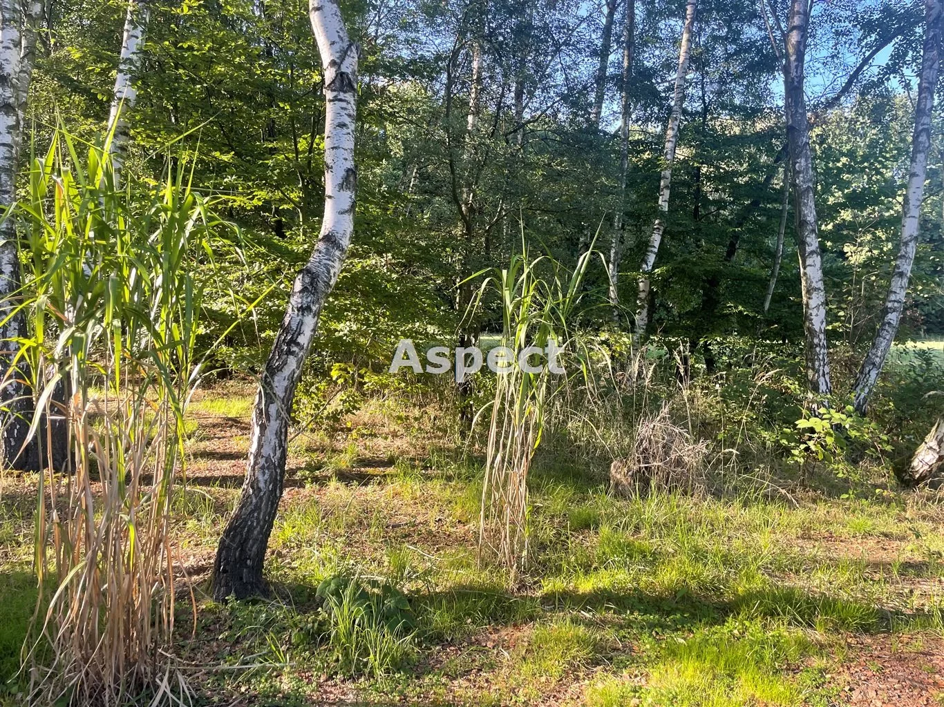 Działka 2 600,00 m², oferta nr , ASJ-GS-51206, Wodzisław Śląski