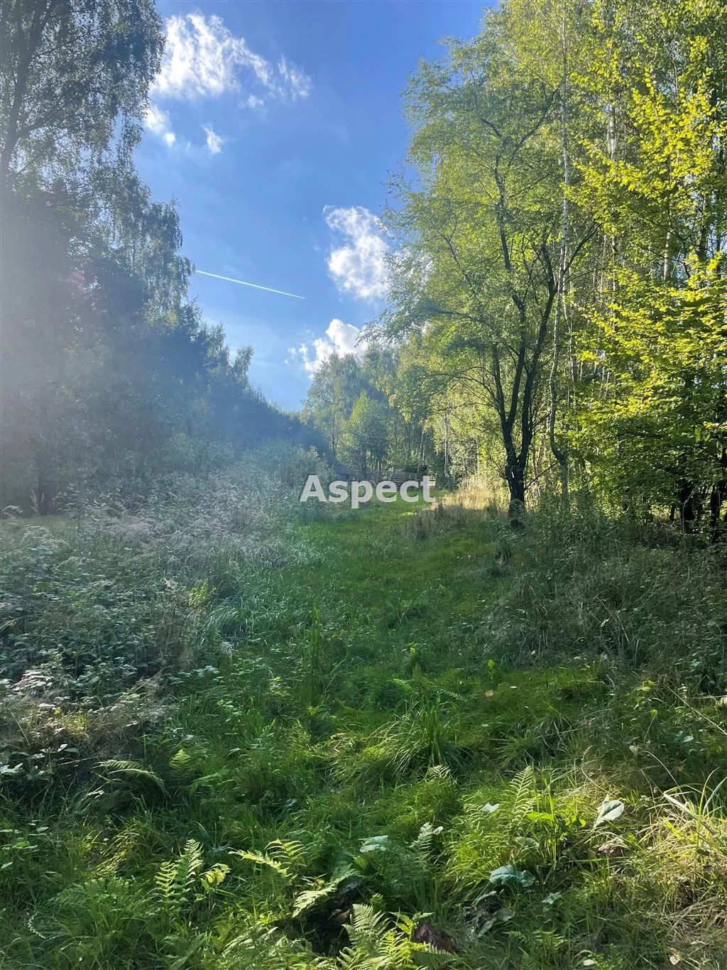 Działka 2 600,00 m², oferta nr , ASJ-GS-51206, Wodzisław Śląski