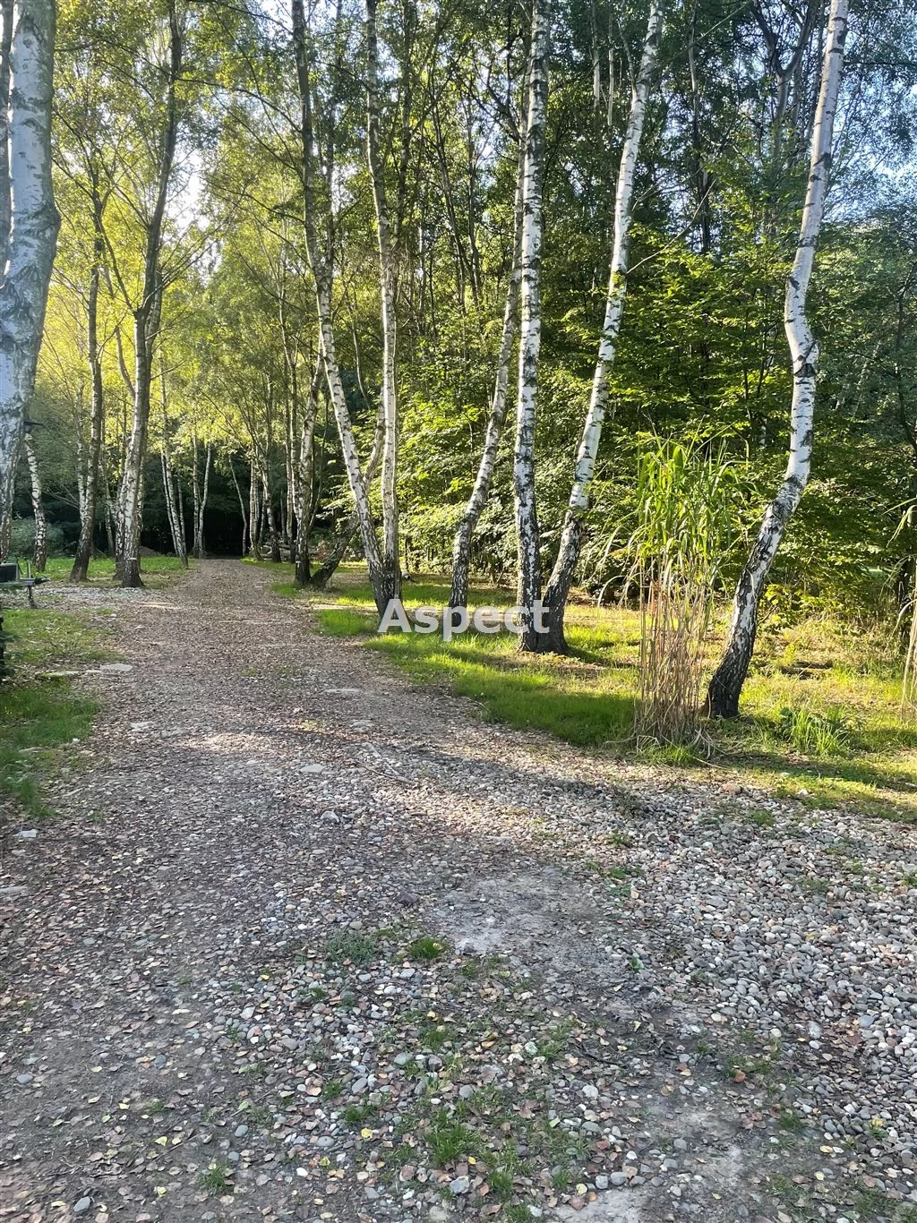 Działka 2 600,00 m², oferta nr , ASJ-GS-51206, Wodzisław Śląski
