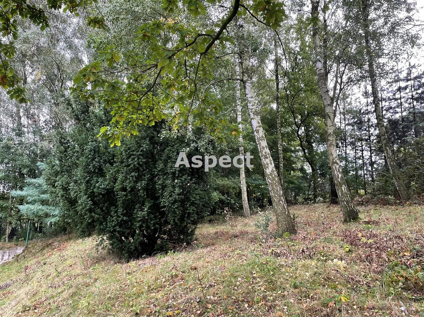 Działka 3 790,00 m², oferta nr , ASJ-GS-51221, Wodzisław Śląski