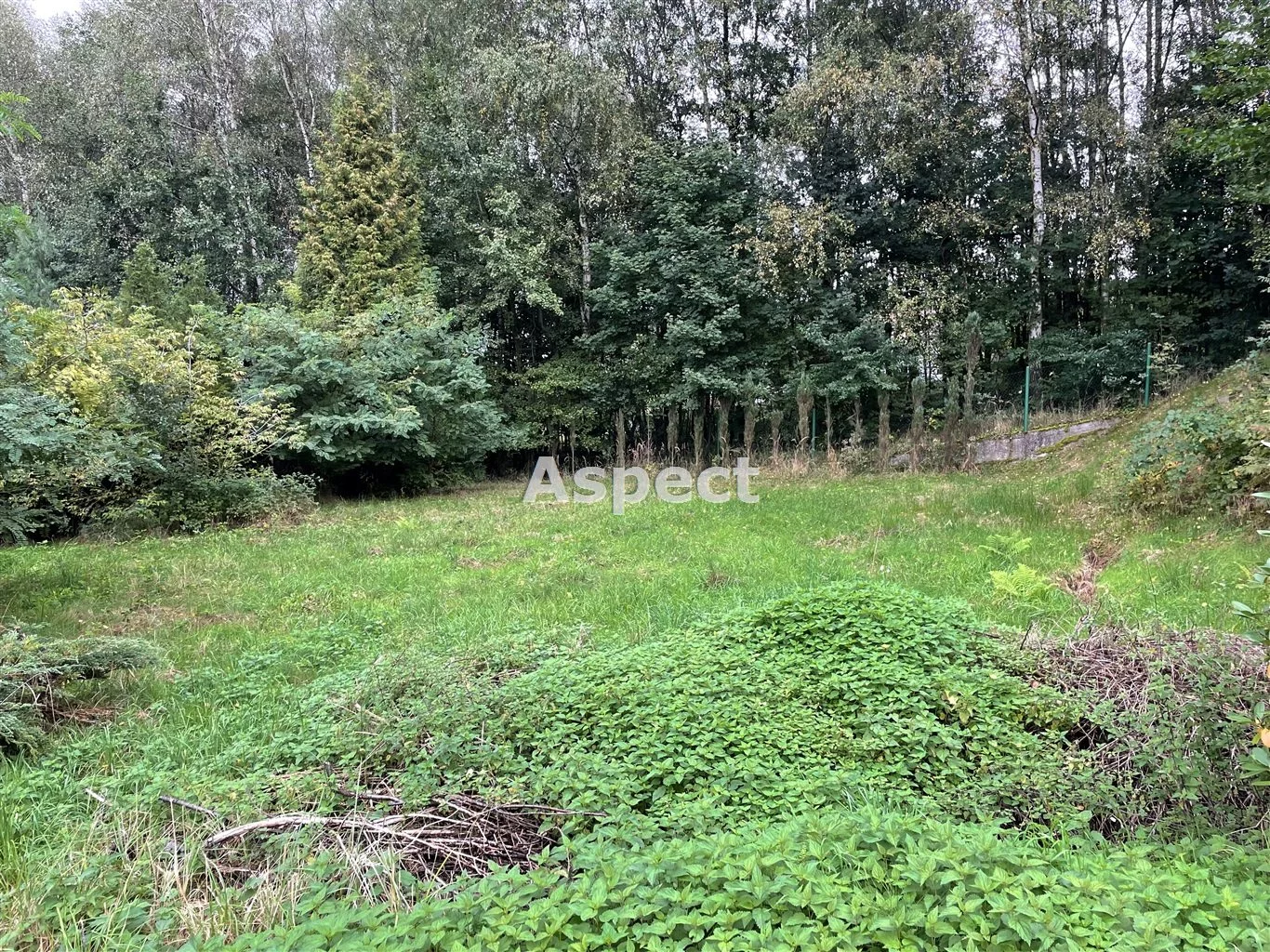 Działka 1 260,00 m², oferta nr , ASJ-GS-51223, Wodzisław Śląski