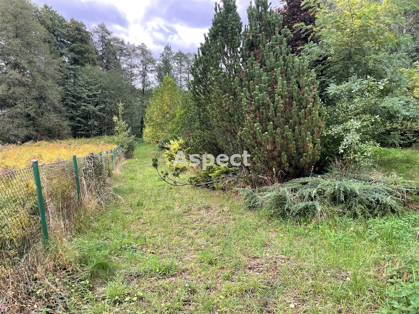 Działka 1 260,00 m², oferta nr , ASJ-GS-51223, Wodzisław Śląski