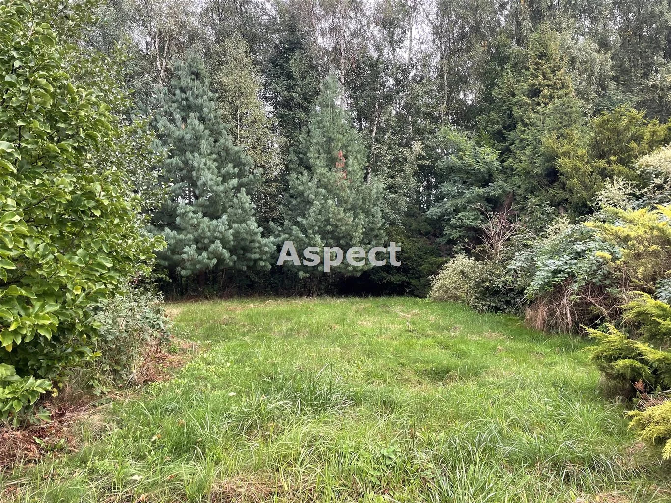 Działka 1 260,00 m², oferta nr , ASJ-GS-51223, Wodzisław Śląski