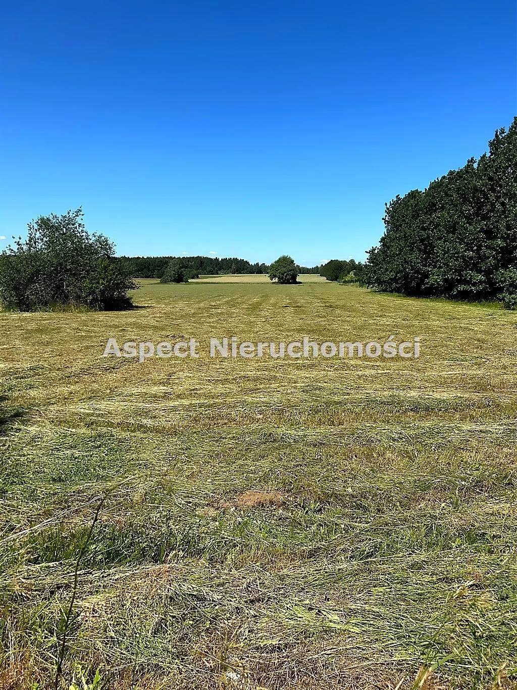 ASM-GS-50804 - zdjęcie nr 0