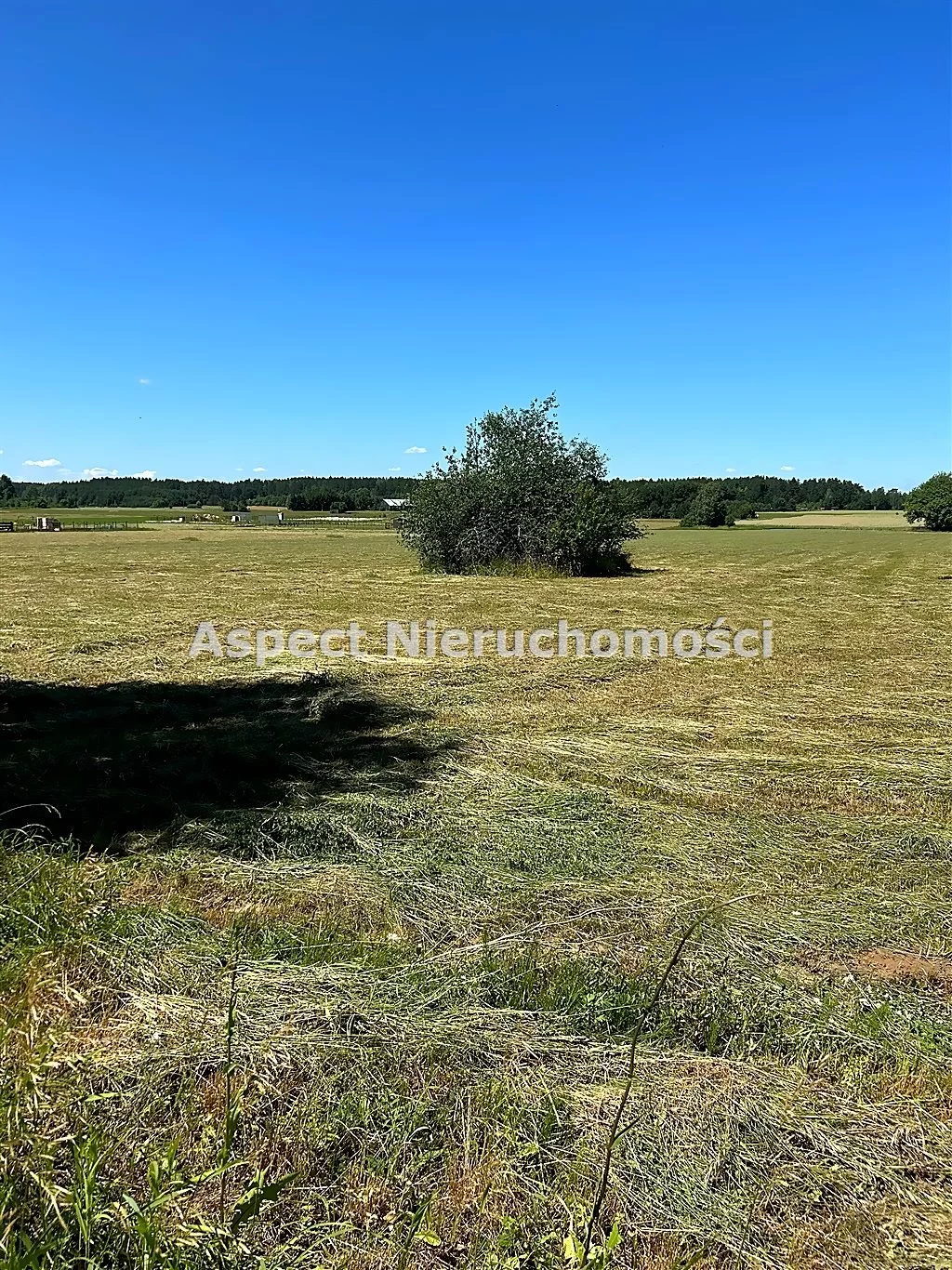 ASM-GS-50804 - zdjęcie nr 1