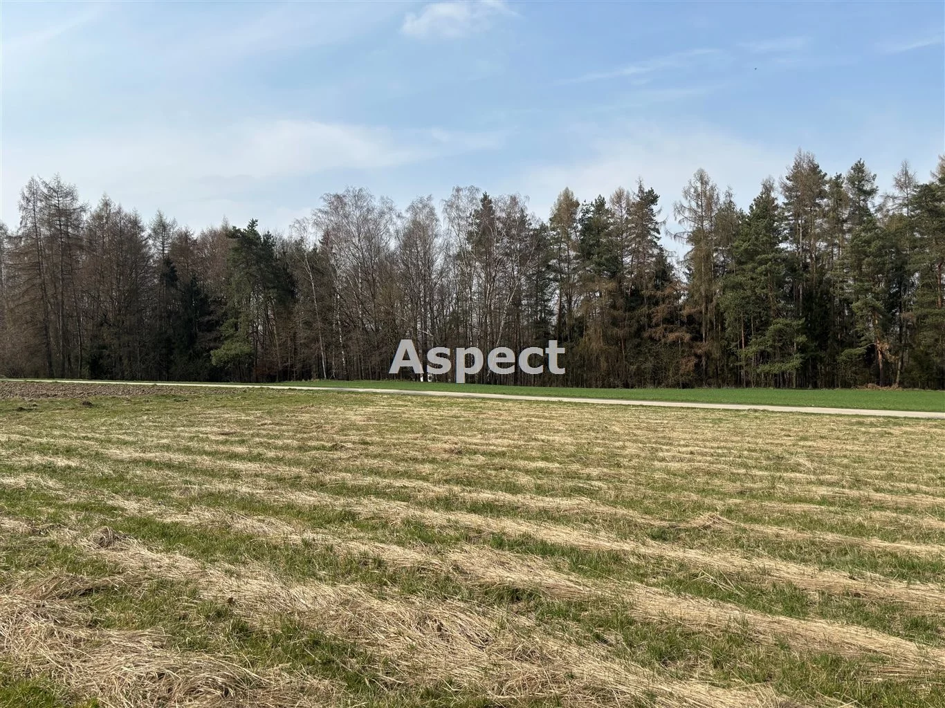 Działka 955,00 m², oferta nr , ASJ-GS-50392, Zebrzydowice
