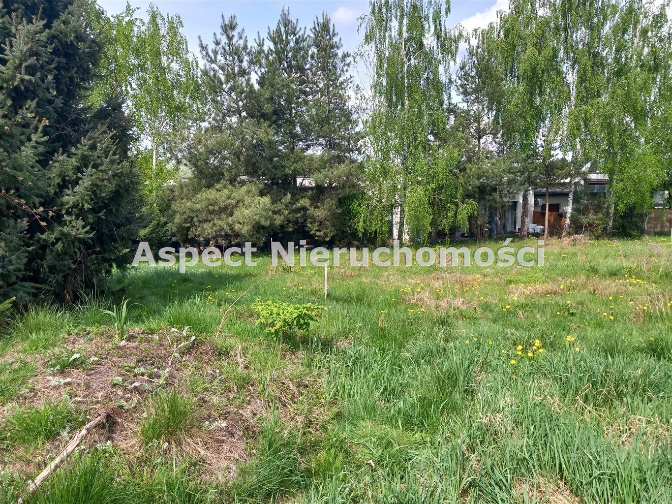 ASP-GS-50536 - zdjęcie nr 0