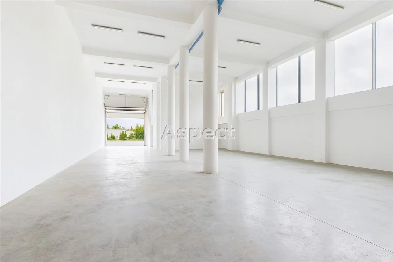 Biuro 620,00 m², oferta nr , ASB-BS-51321, Piecki