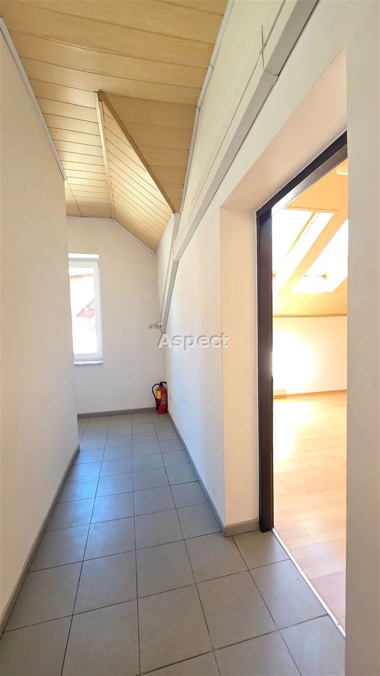 AP1-LW-50885 - zdjęcie nr 5