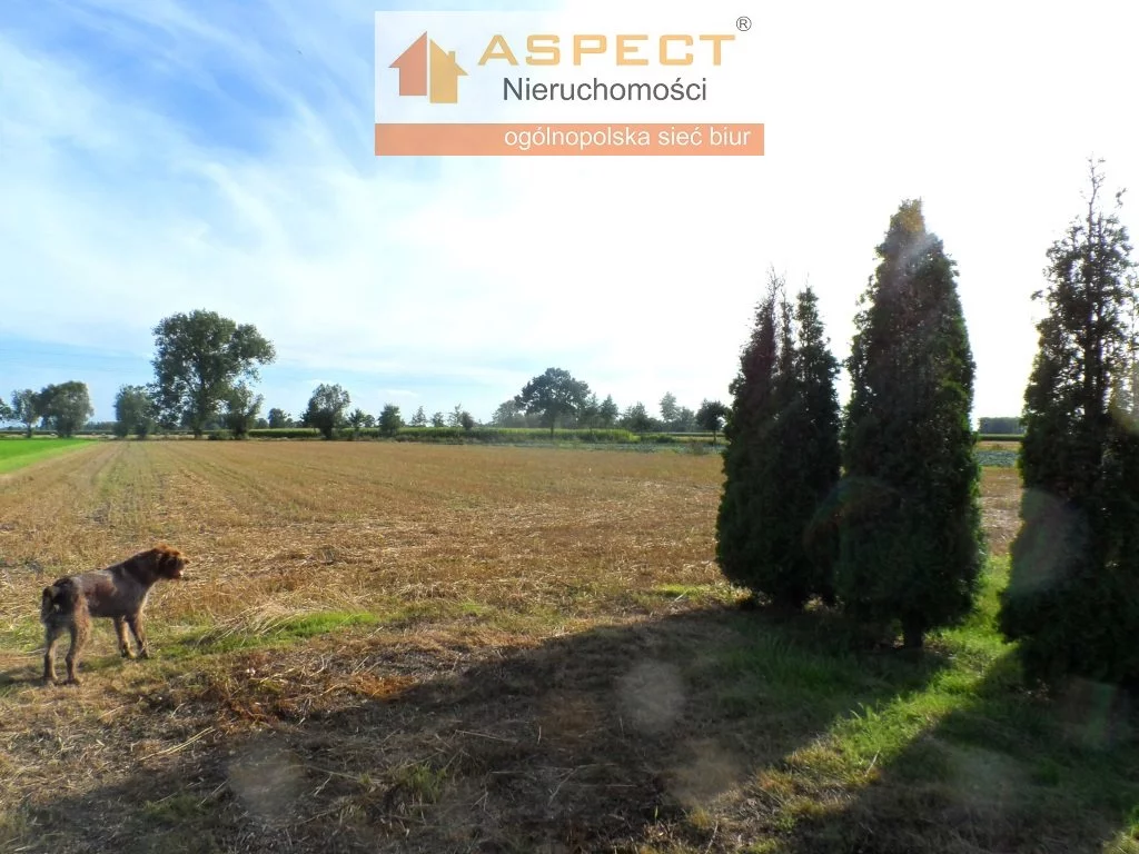 Magazyn 26 000,00 m², oferta nr , APO-BS-49803, Kocierzew Południowy