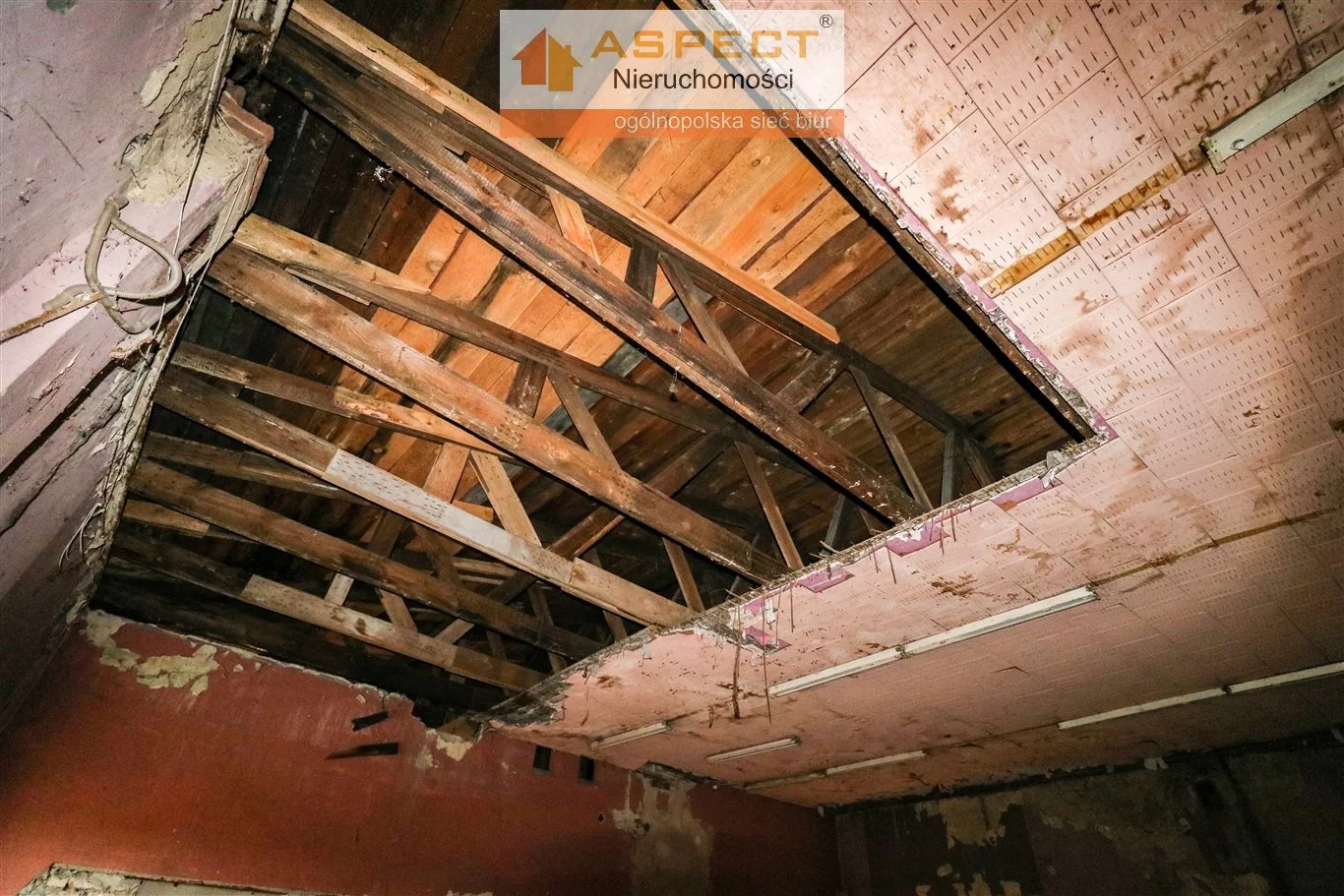 Magazyn 270,00 m², oferta nr , API-HS-49853, Zabrze