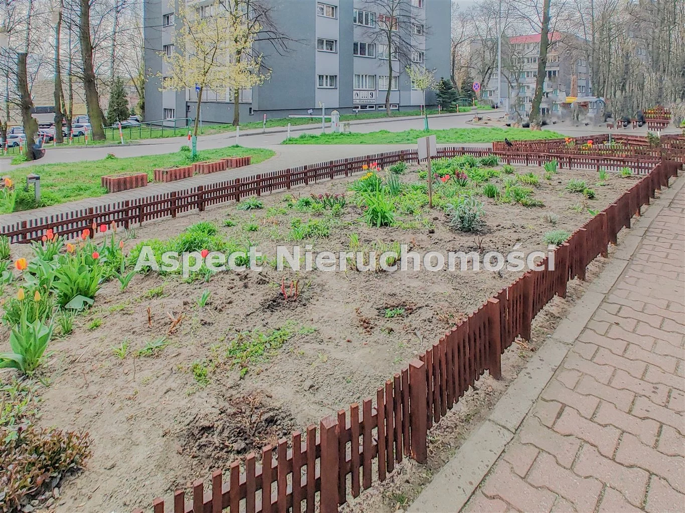1 pokój, mieszkanie 27,46 m², piętro 1, oferta nr , AST-MS-50468, Katowice, Osiedle Tysiąclecia, Osiedle Tysiąclecia