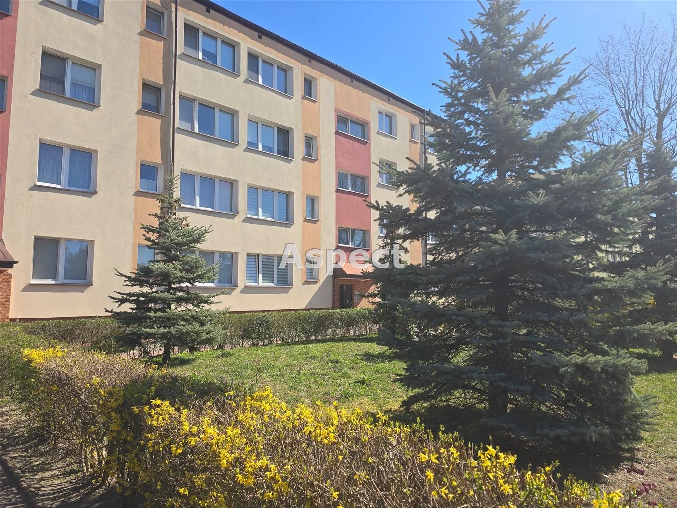 1 pokój, mieszkanie 24,00 m², piętro 3, oferta nr , APO-MS-51158, Płock, Dobrzyńska